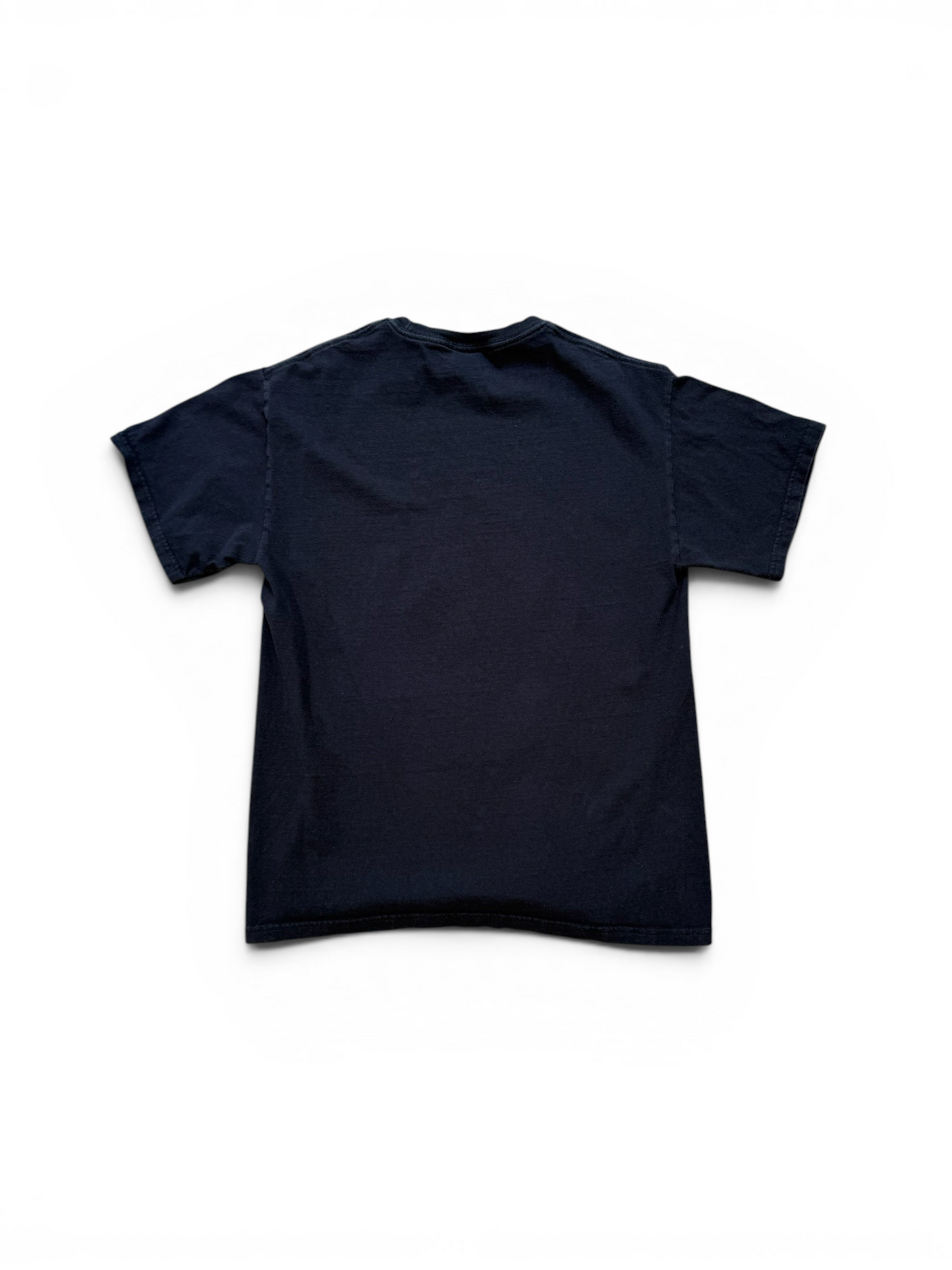 (M) 2008 Chuck Norris Blood Baths Tee