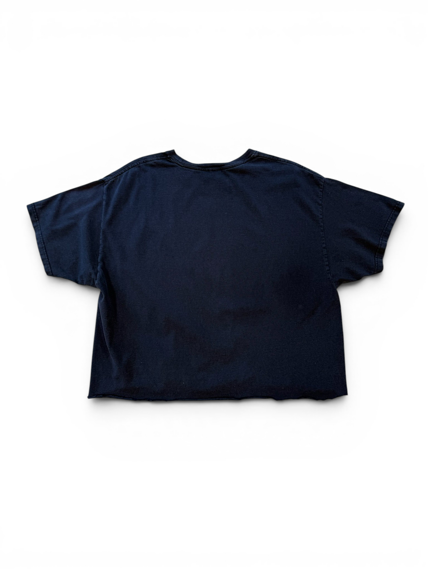 (M) Vintage Y2K Lil Wayne Cutoff Shirt