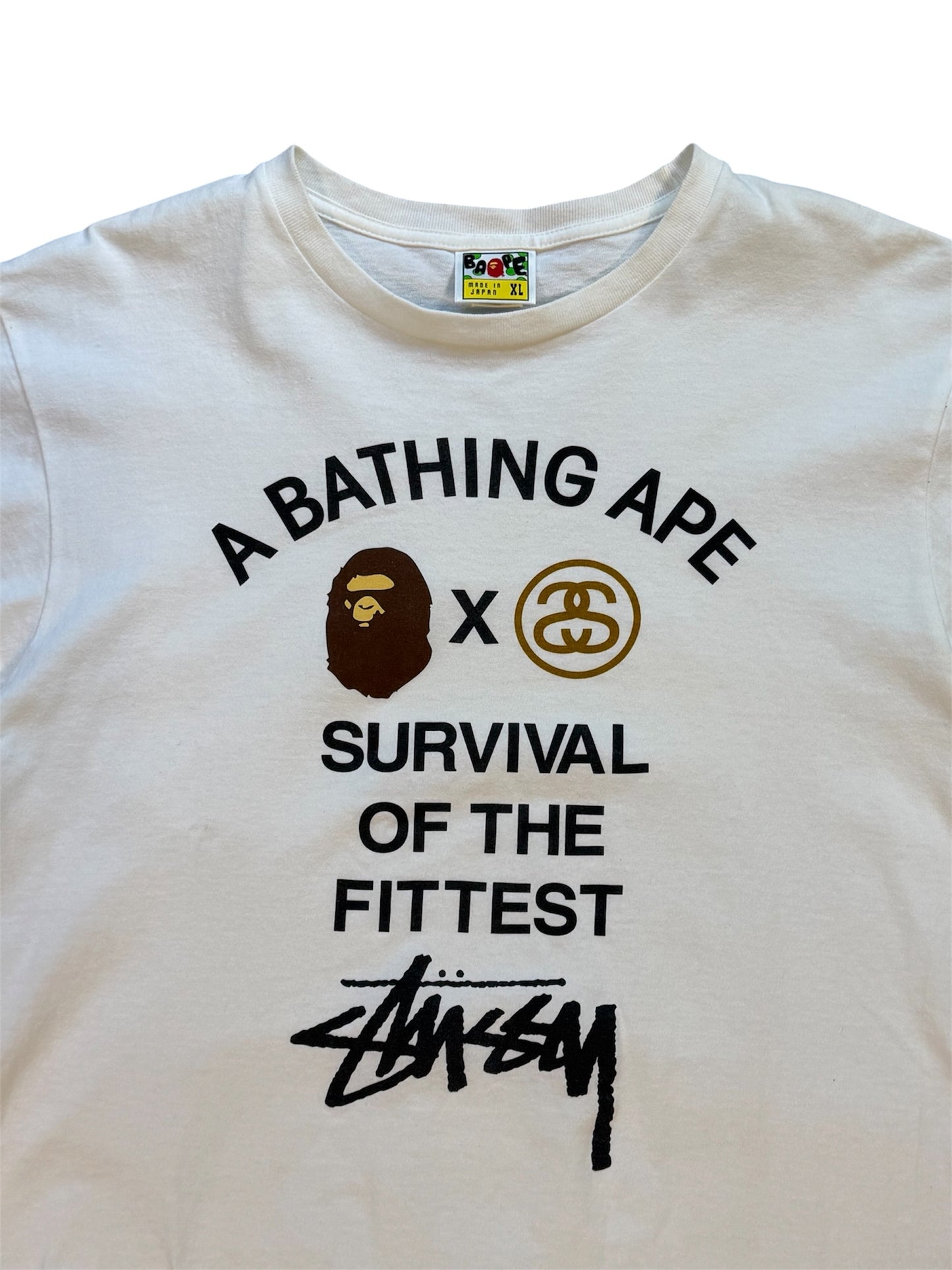 (XL) Bape x Stussy Survival Of The Fittest Tee