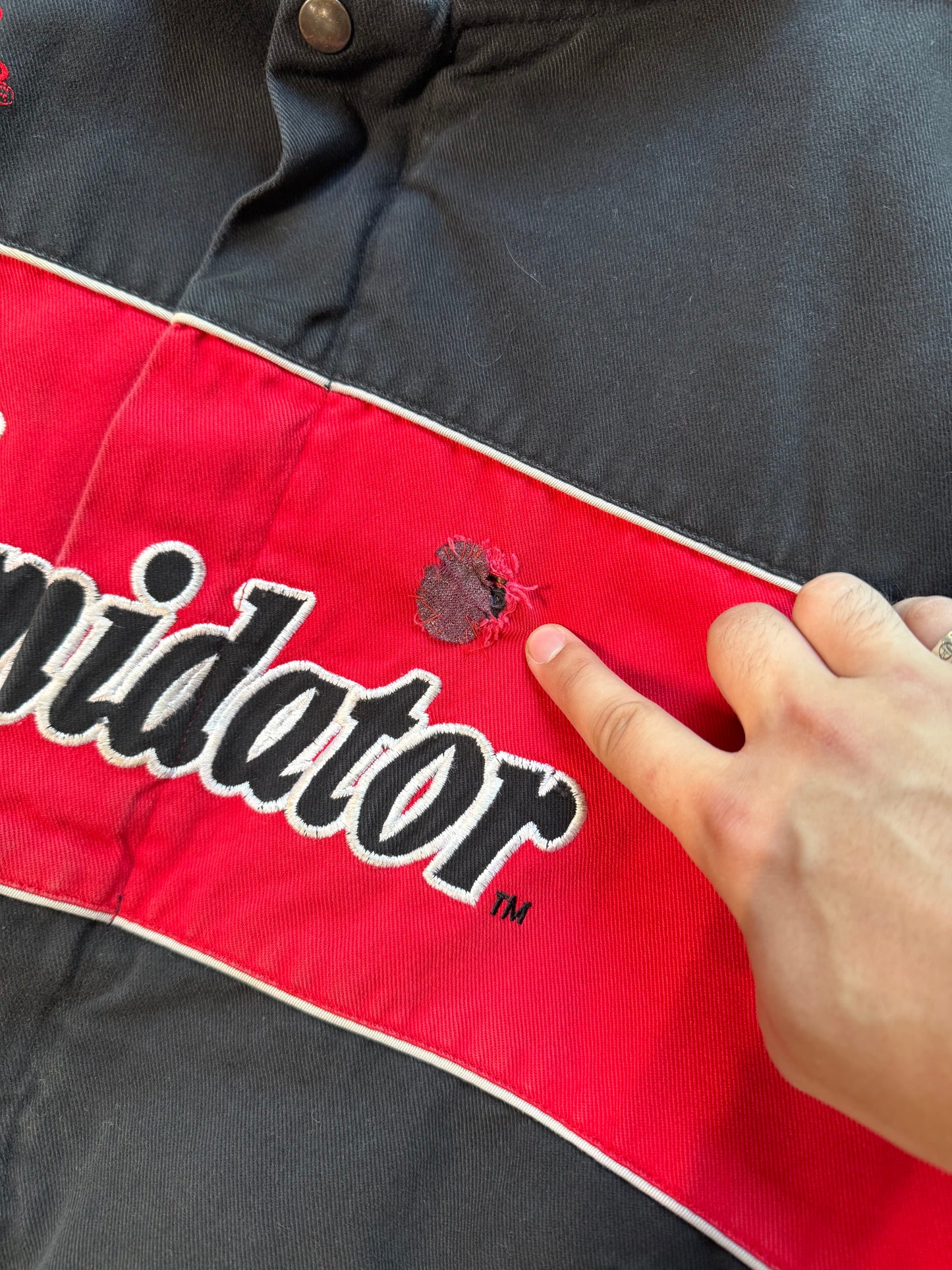 (L) Vintage Dale Earnhardt The Intimidator NASCAR Jacket