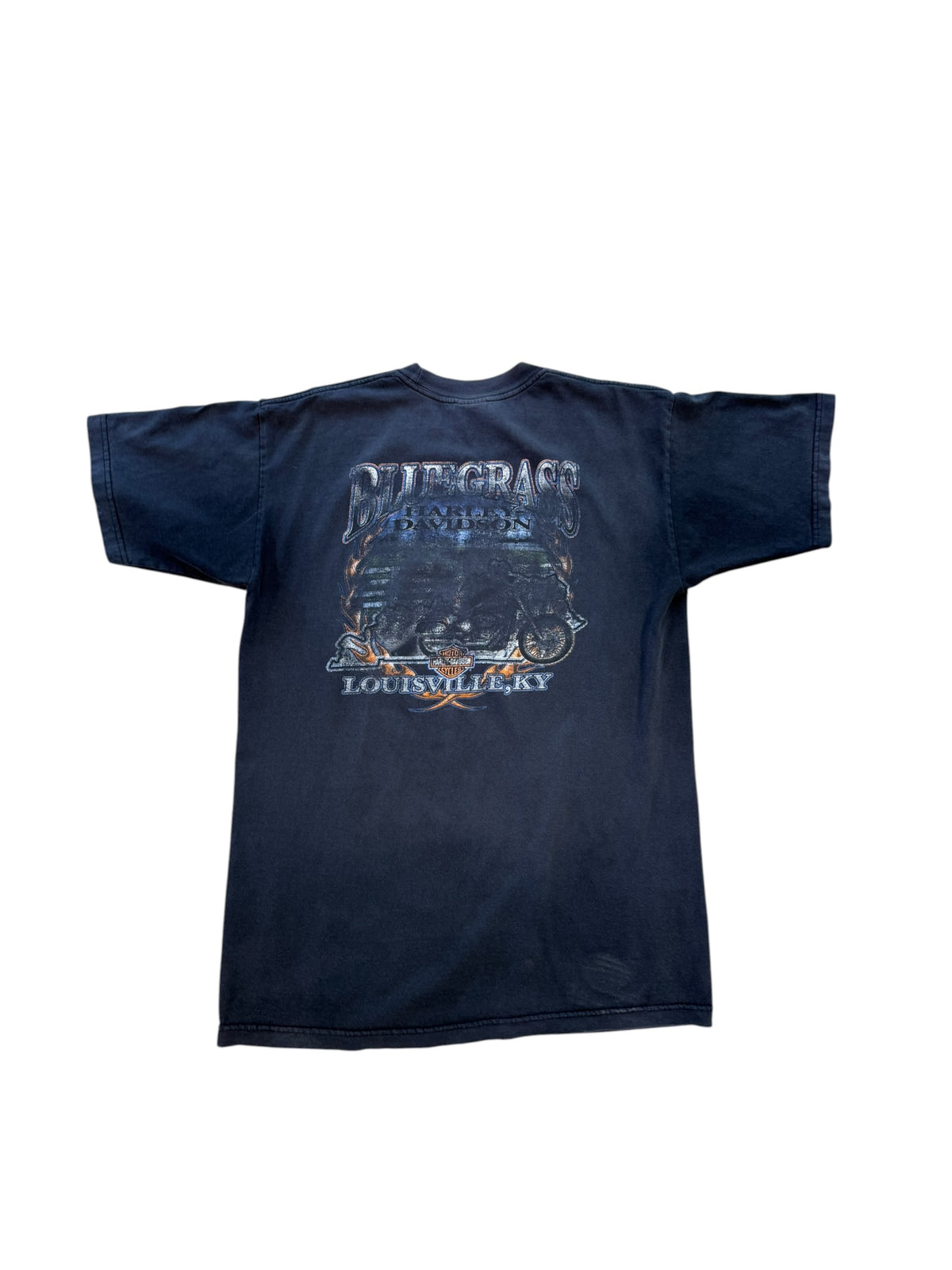 (L) Vintage Harley Davidson Blue Grass Tee