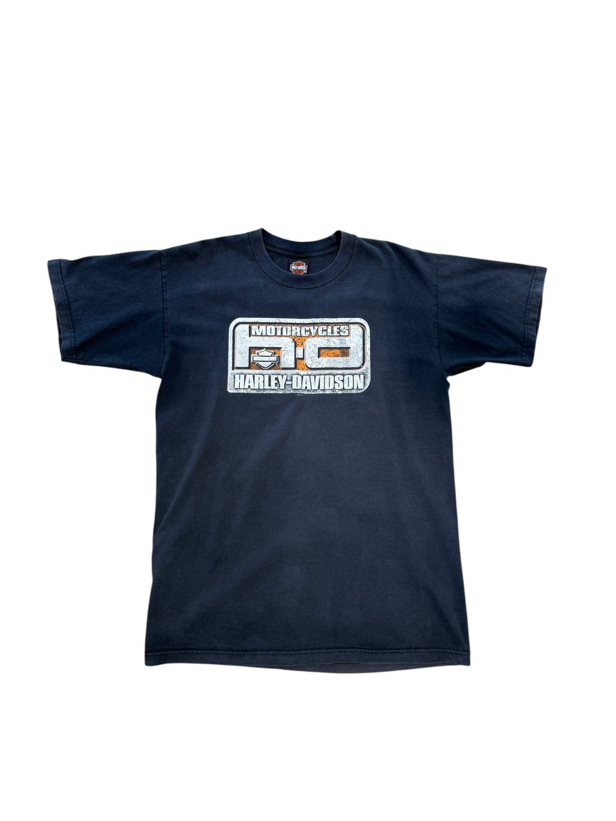 (L) Vintage Harley Davidson Blue Grass Tee
