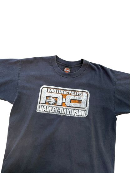 (L) Vintage Harley Davidson Blue Grass Tee