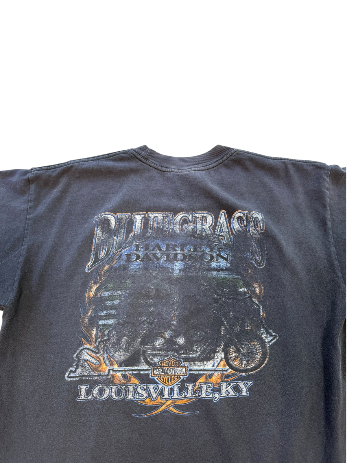 (L) Vintage Harley Davidson Blue Grass Tee