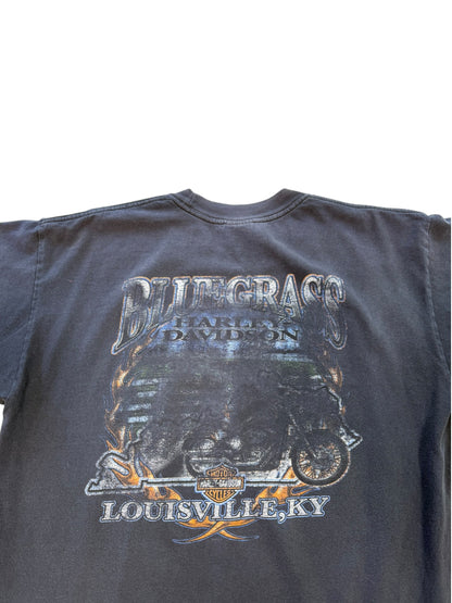 (L) Vintage Harley Davidson Blue Grass Tee