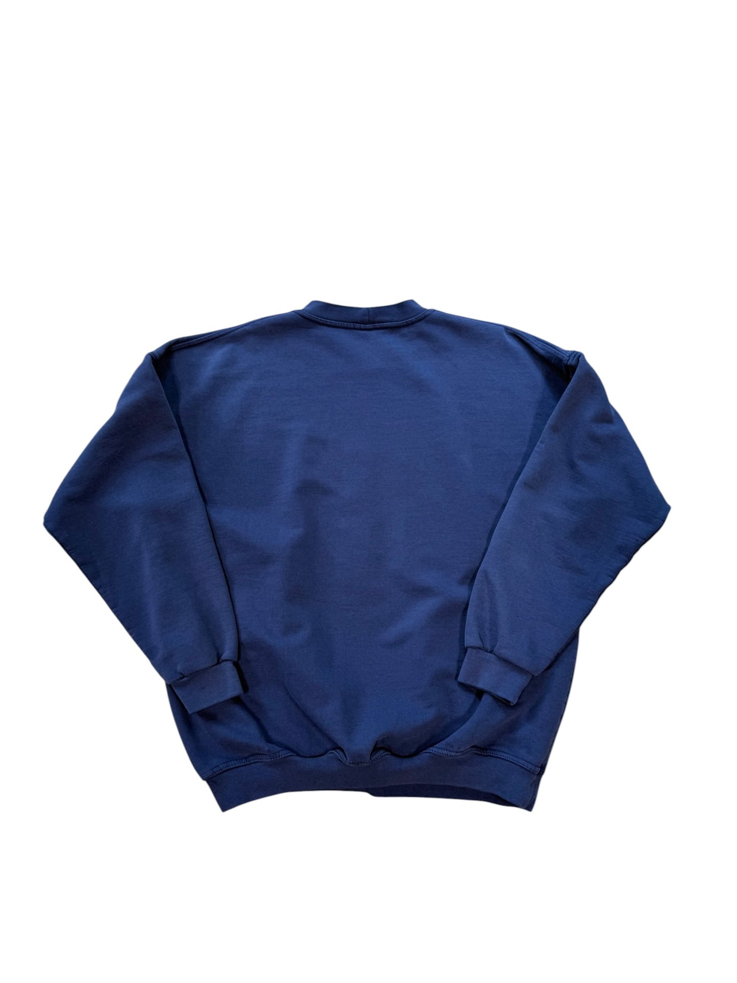 (M) 90’s Northern Reflections Nature Crewneck