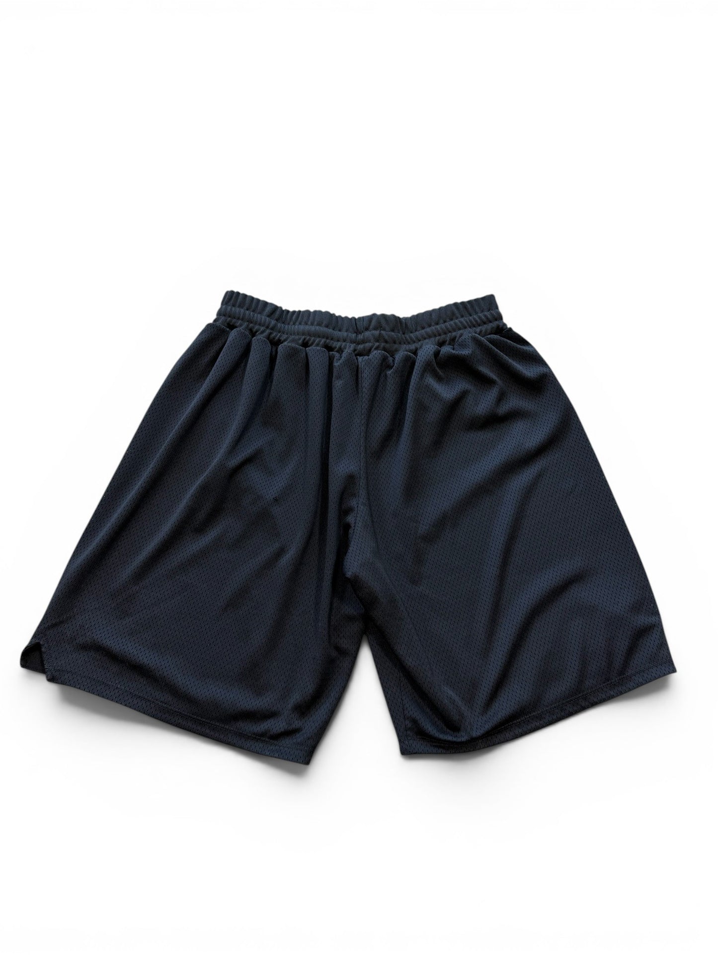 (XXL) Drake Scorpion Promo Black Mesh Shorts