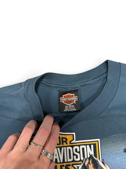 (L) Vintage 1989 Harley Davidson Pikes Peak T-Shirt
