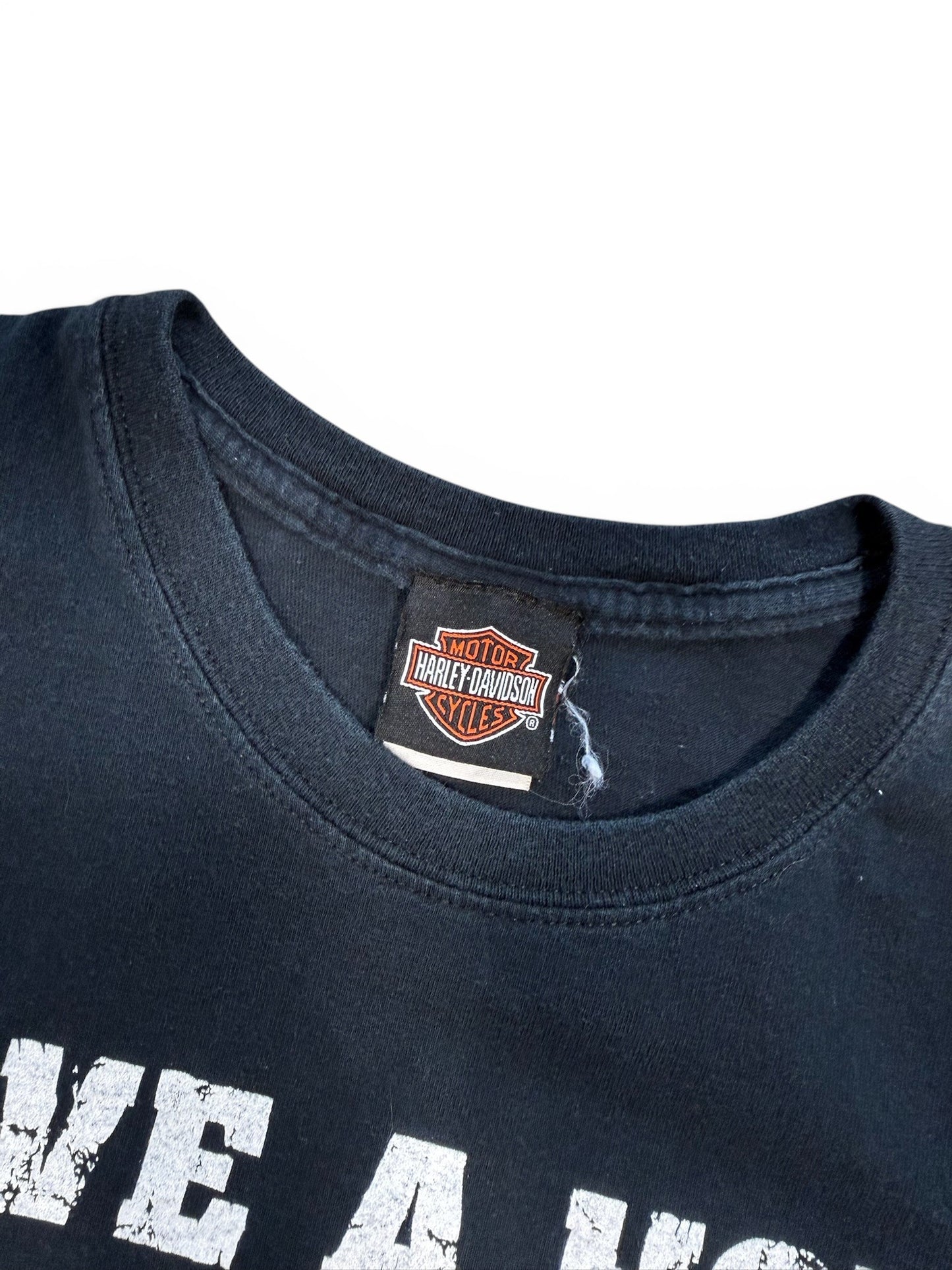 (L) Vintage 2008 Harley Davidson Save A Horse T-Shirt
