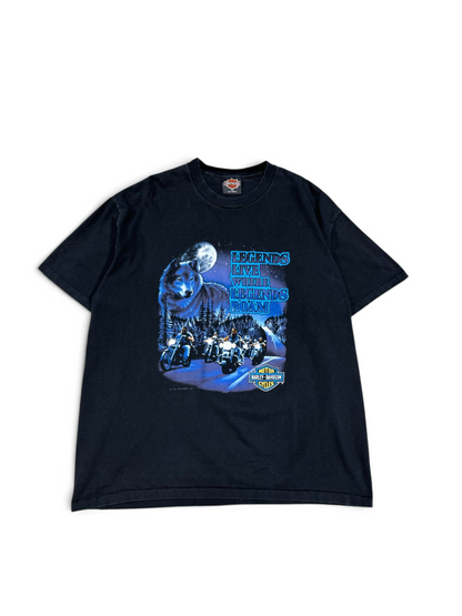 (XL) Vintage 1991 Harley Davidson Legends Live Where Legends Roam T-Shirt