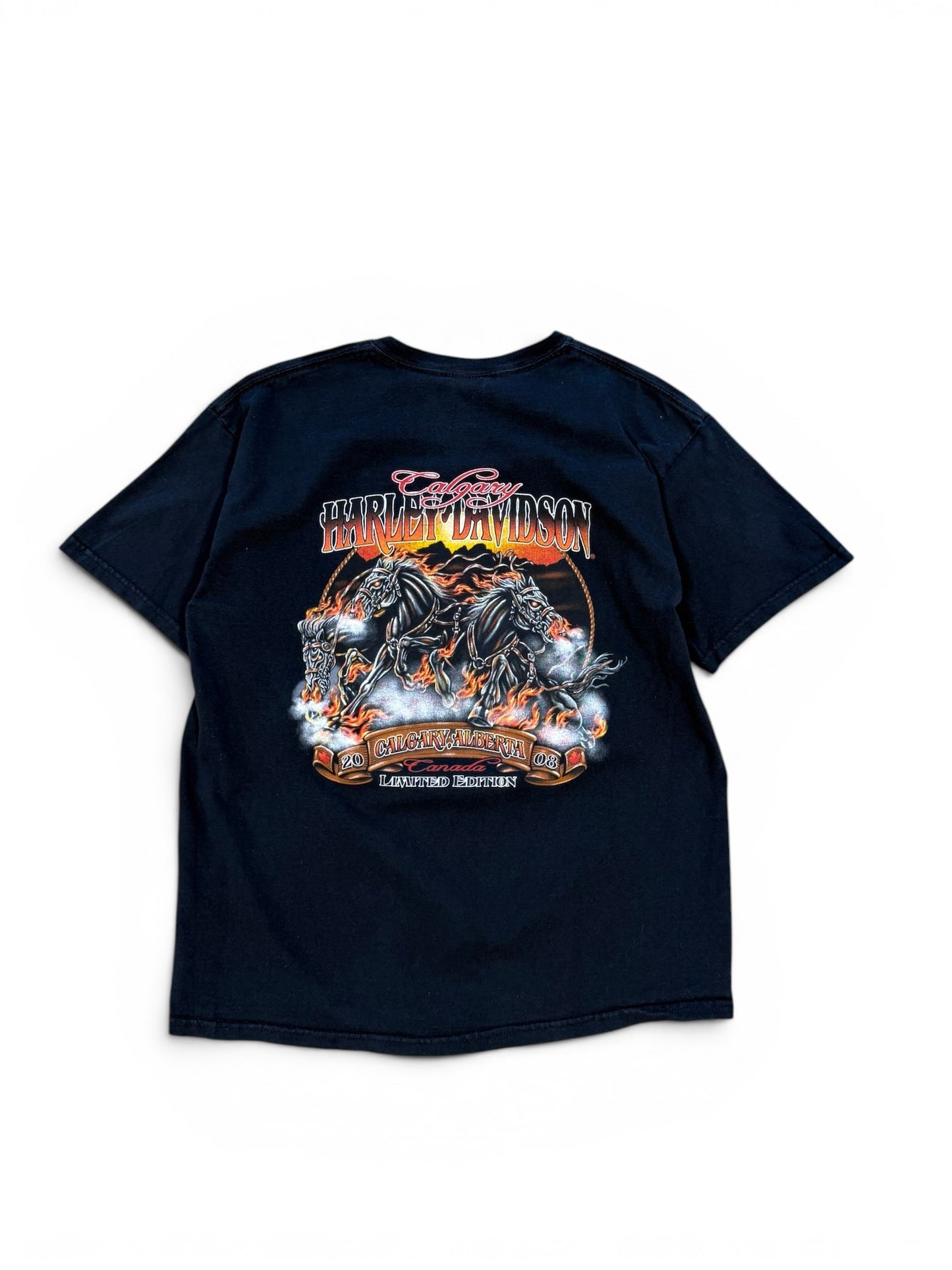 (L) Vintage 2008 Harley Davidson Save A Horse T-Shirt