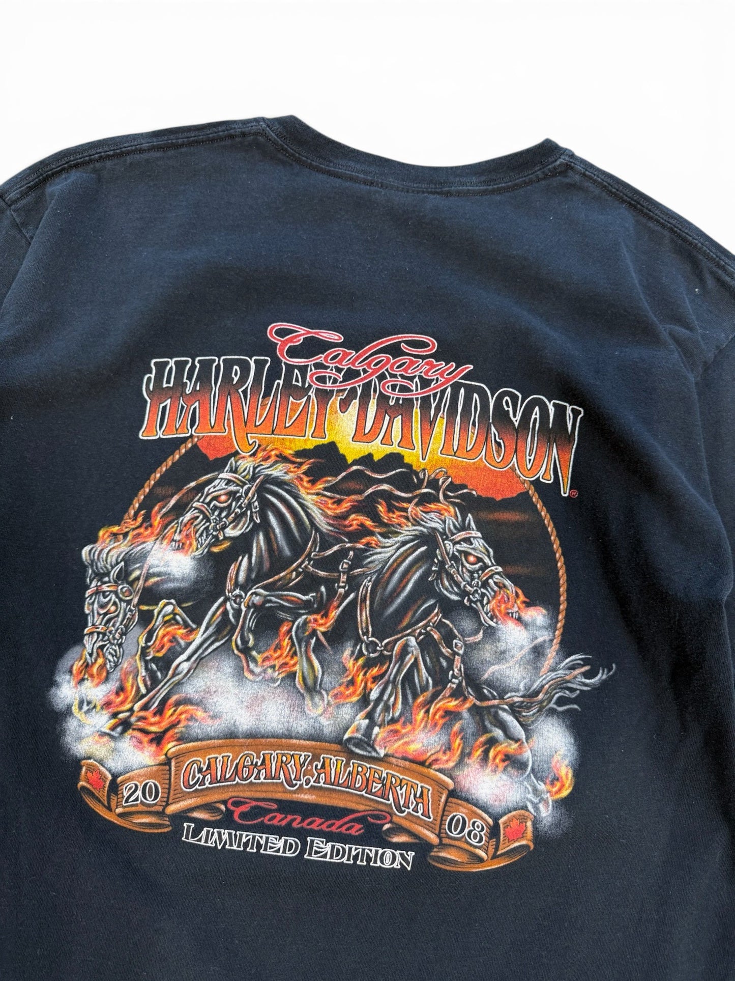 (L) Vintage 2008 Harley Davidson Save A Horse T-Shirt