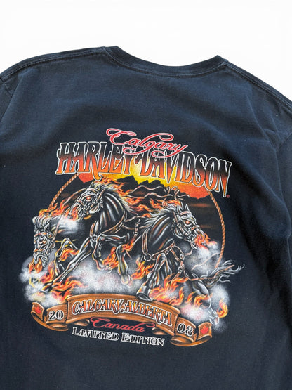 (L) Vintage 2008 Harley Davidson Save A Horse T-Shirt