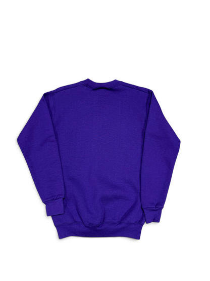 (S) Vintage 90s Charlotte Hornets Pro Player Sweatshirt