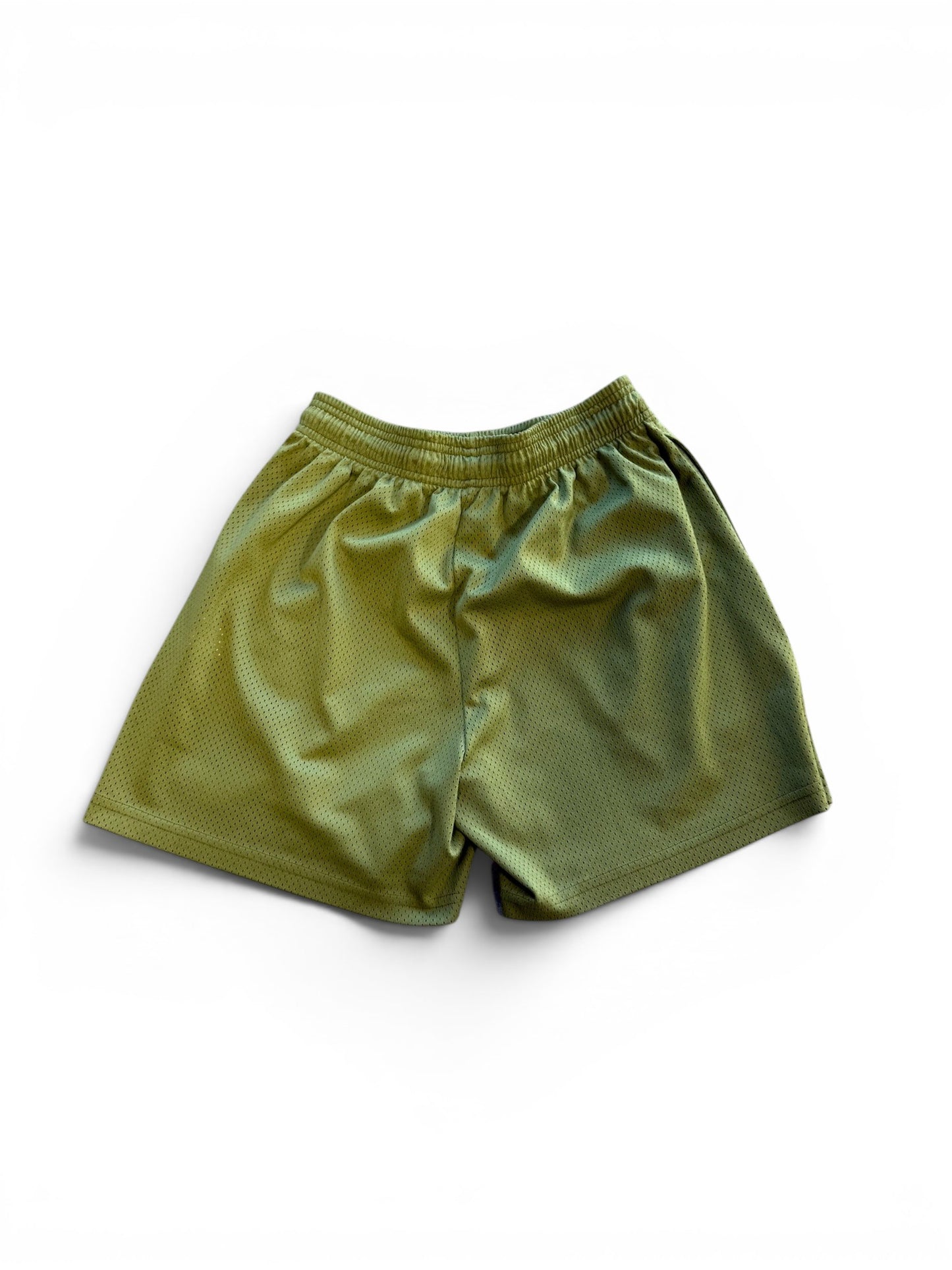 (M) Eric Emmanuel Green Mesh Short