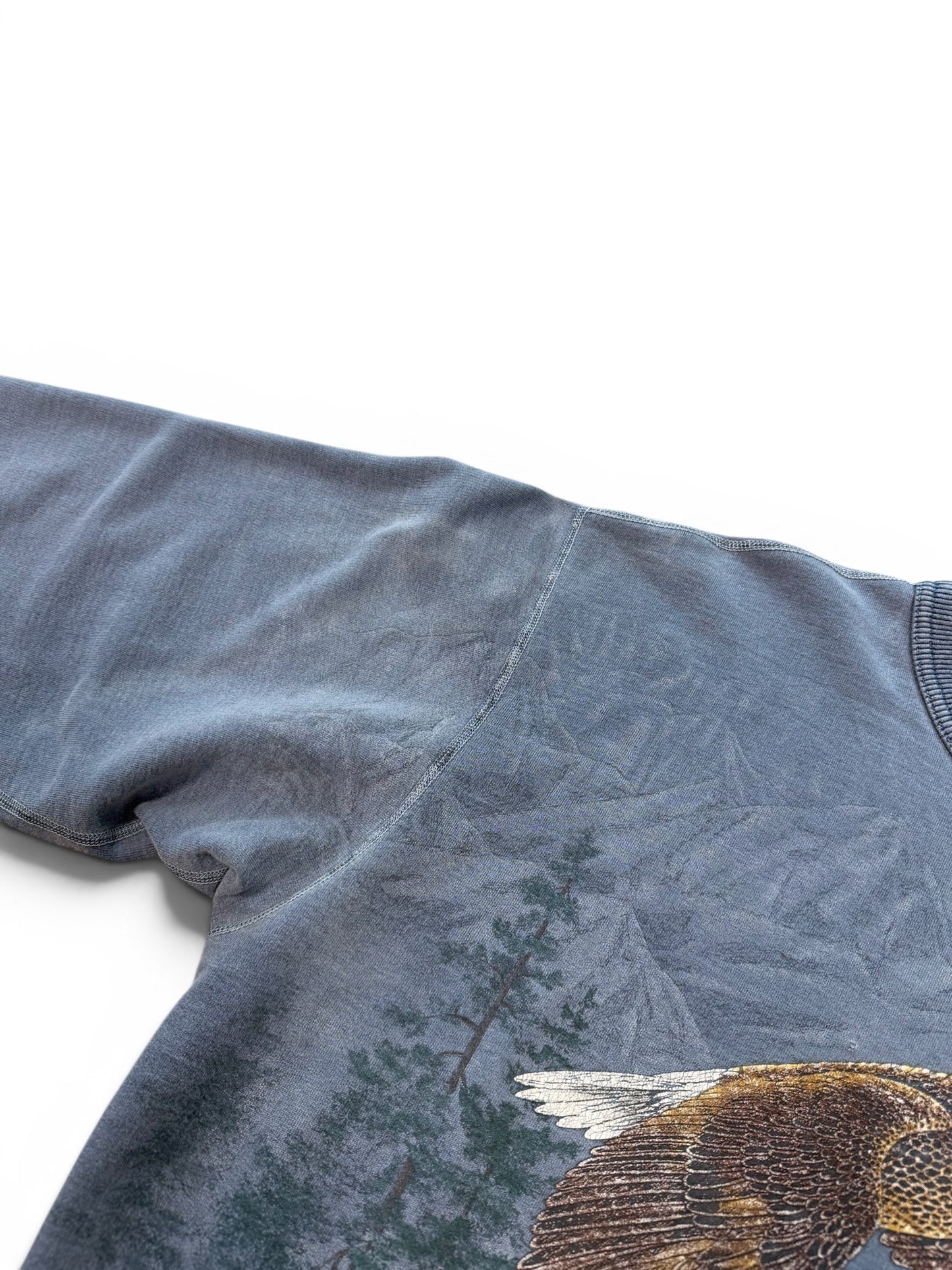 (L) Vintage Northern Elements Landscape Crewneck