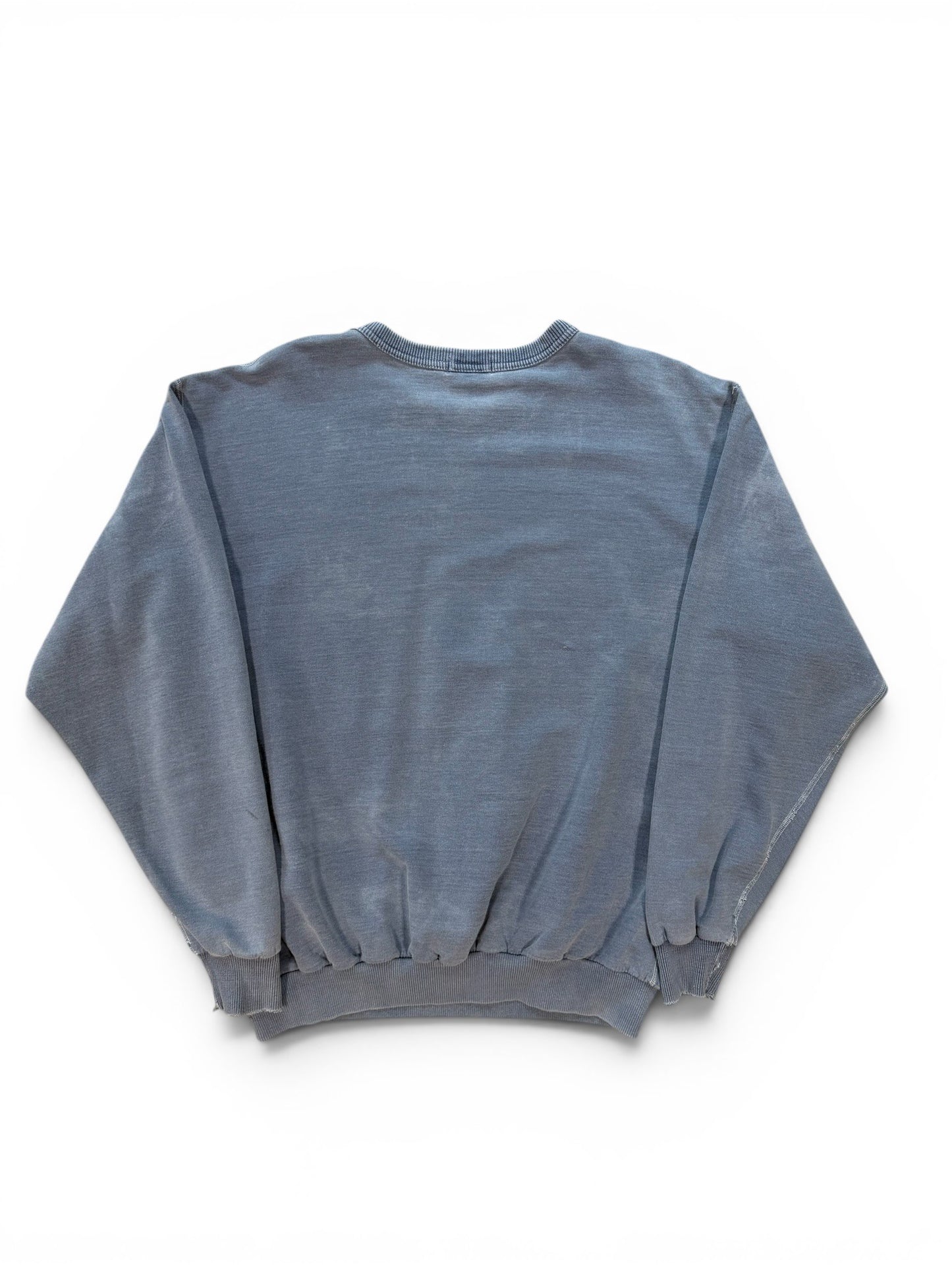 (L) Vintage Northern Elements Landscape Crewneck