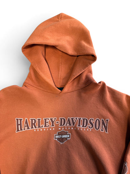 (XL) Vintage 2007 Harley Davidson Boston Hoodie