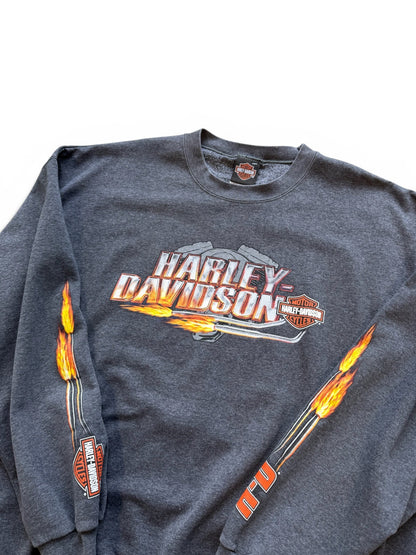 (XL) Vintage Harley Davidson West Bridgewater Crewneck