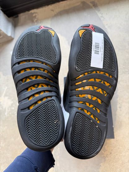 (10.5M) Jordan 12 Taxi (2013)