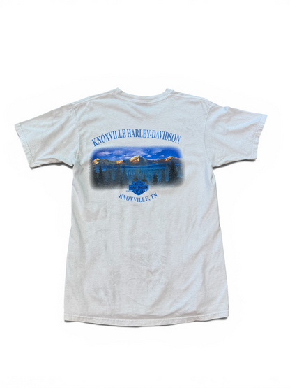 (M) 2001 Harley Davidson Flaming Motor Tee