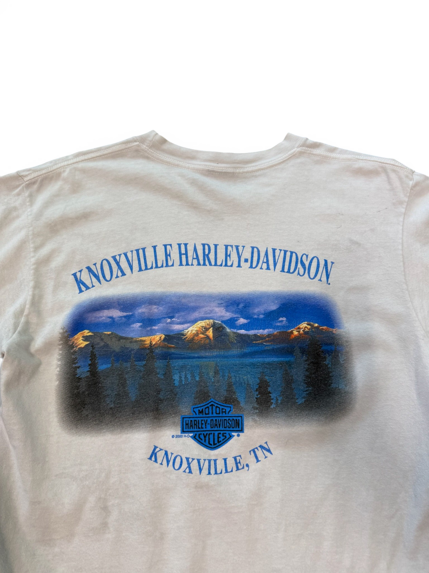 (M) 2001 Harley Davidson Flaming Motor Tee