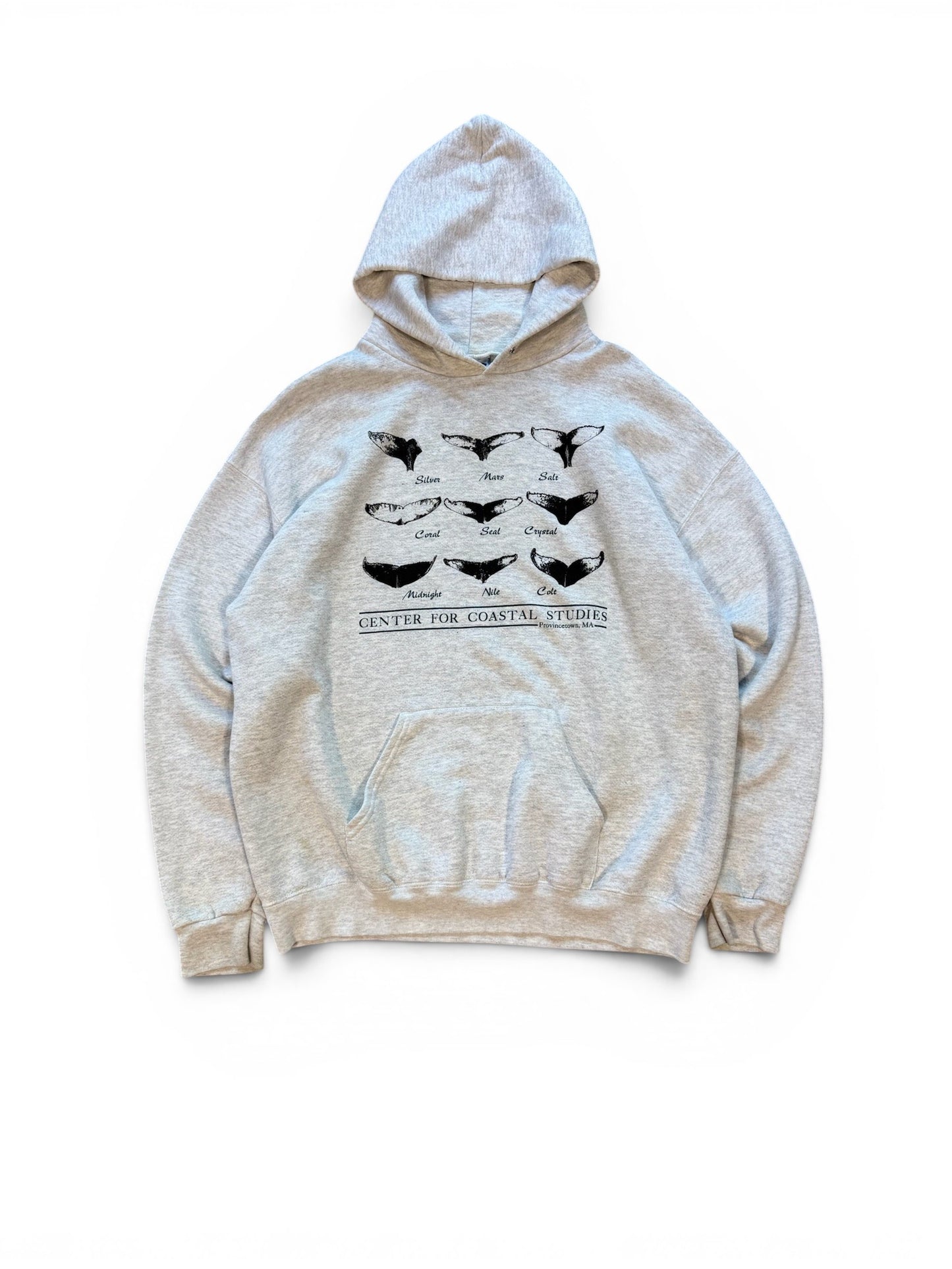 (XL) Vintage 90s Whale Coastal Studies Hoodie Grey