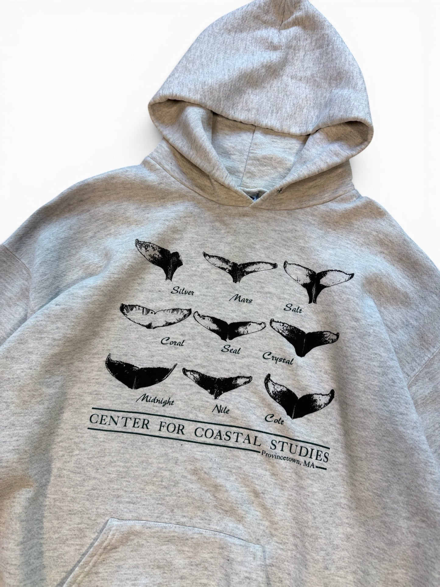 (XL) Vintage 90s Whale Coastal Studies Hoodie Grey