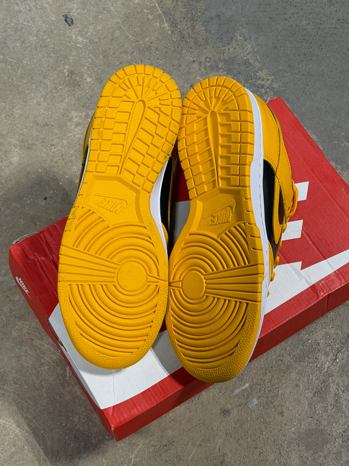 (7.5M) Dunk Low Goldenrod