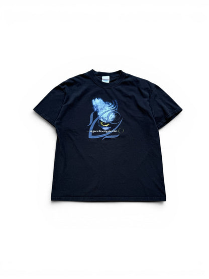 (L) Vintage 2000 A Perfect Circle Band Tee
