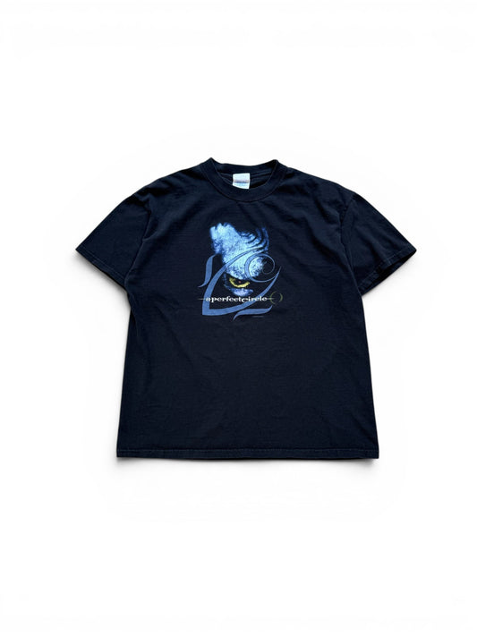 (L) Vintage 2000 A Perfect Circle Band Tee