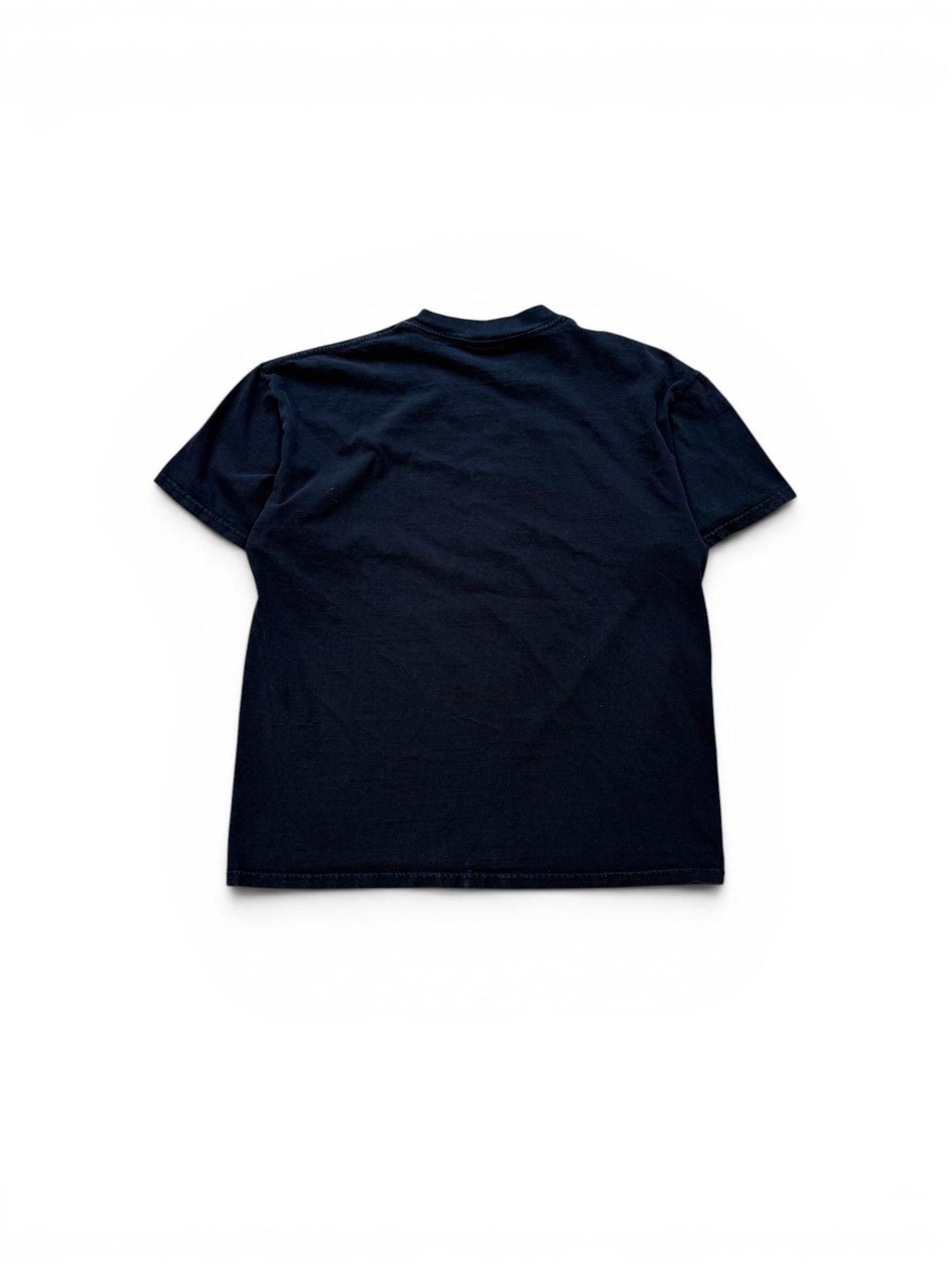 (L) Vintage 2000 A Perfect Circle Band Tee