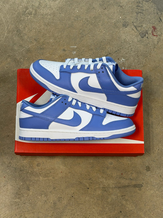 Dunk Low Polar Blue