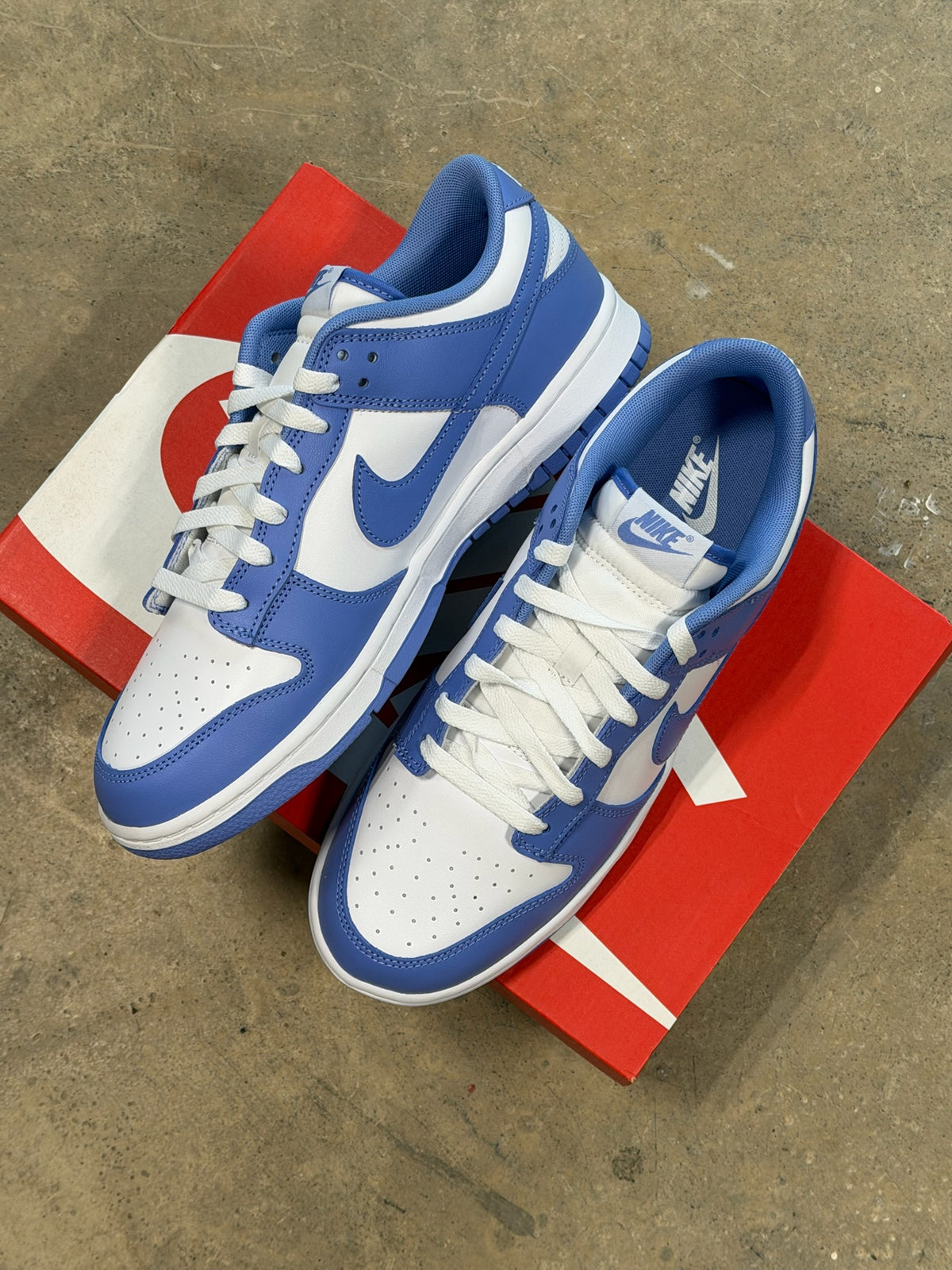 Dunk Low Polar Blue