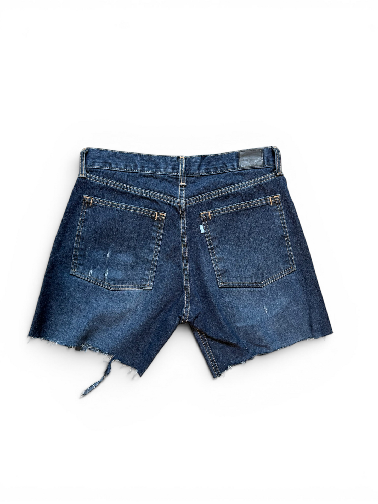 (30W) Levi Silvertab Jorts