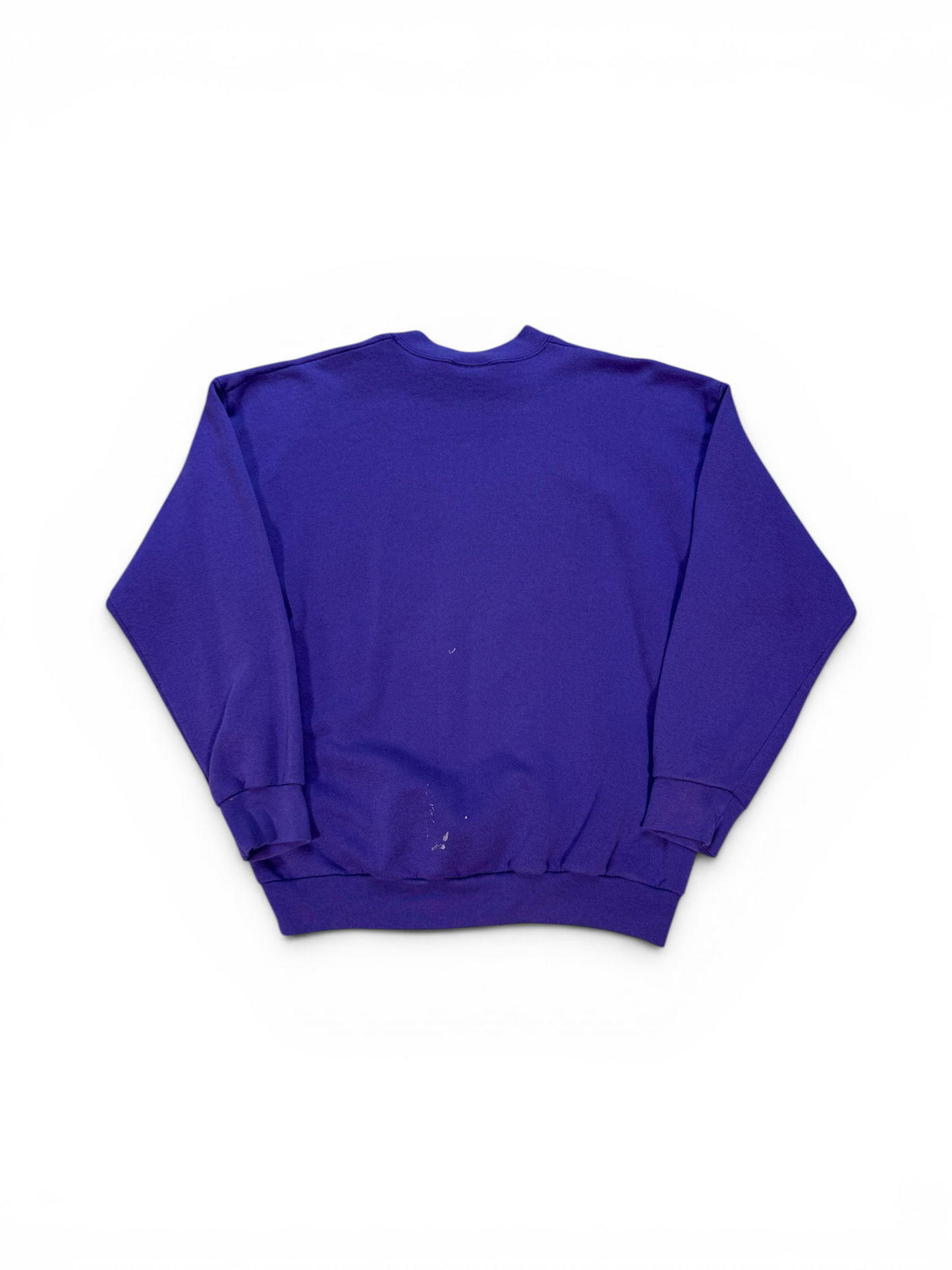 (L) 90’s Toronto Raptors Dino Crewneck