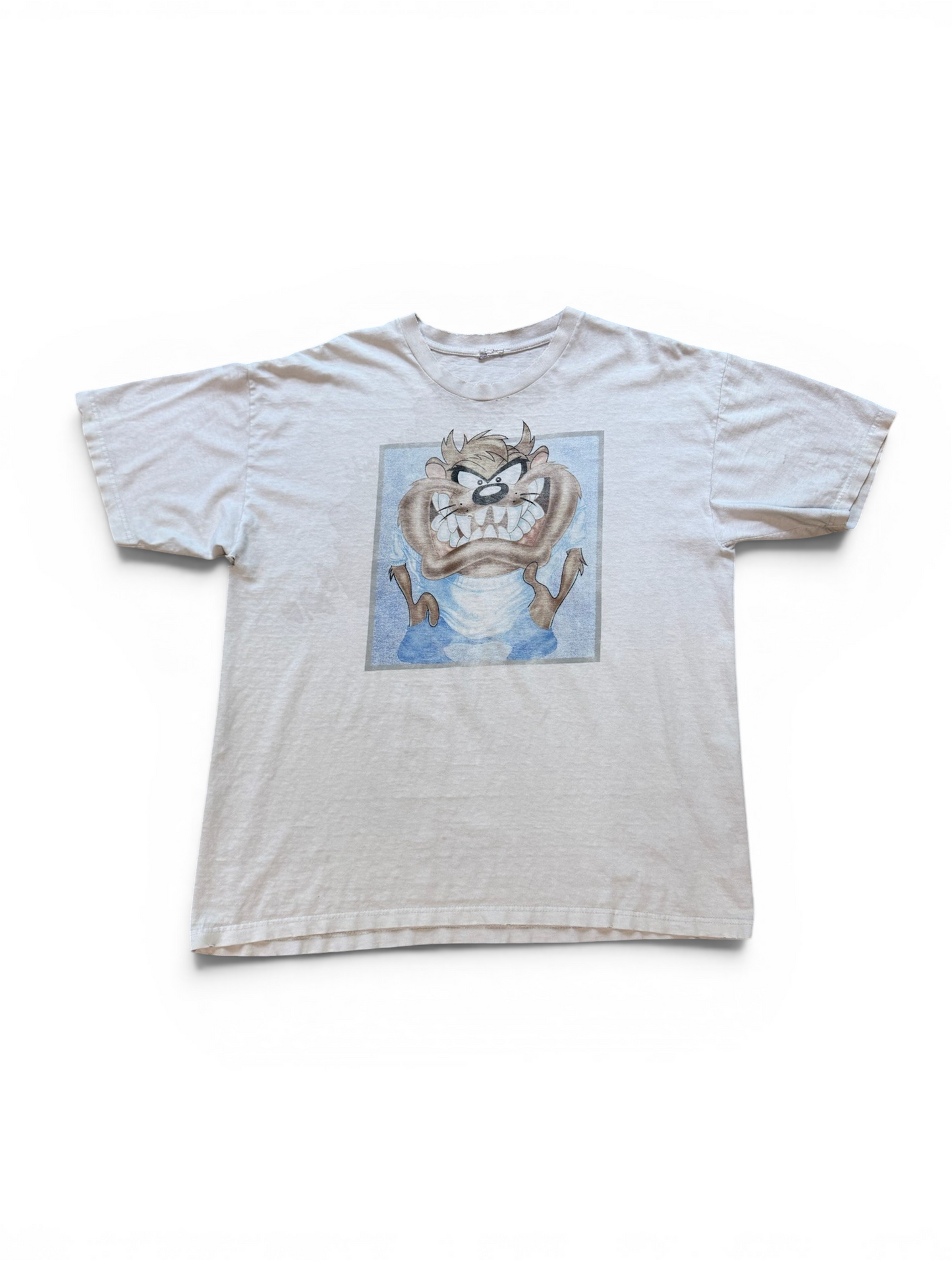 (XL) Vintage Thrashed Taz Photo Tee