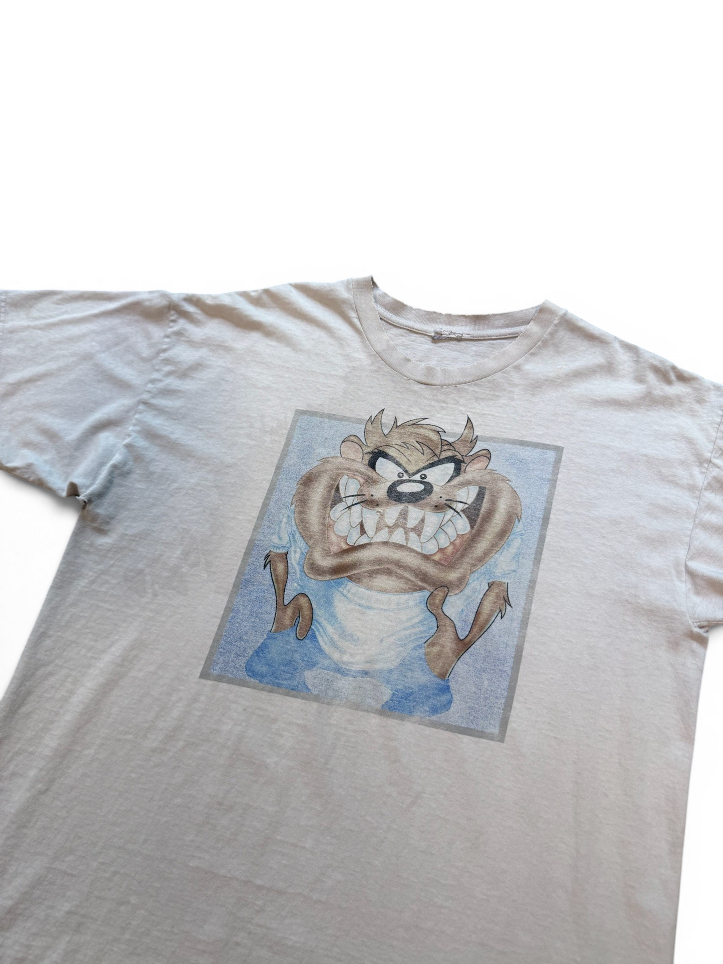 (XL) Vintage Thrashed Taz Photo Tee