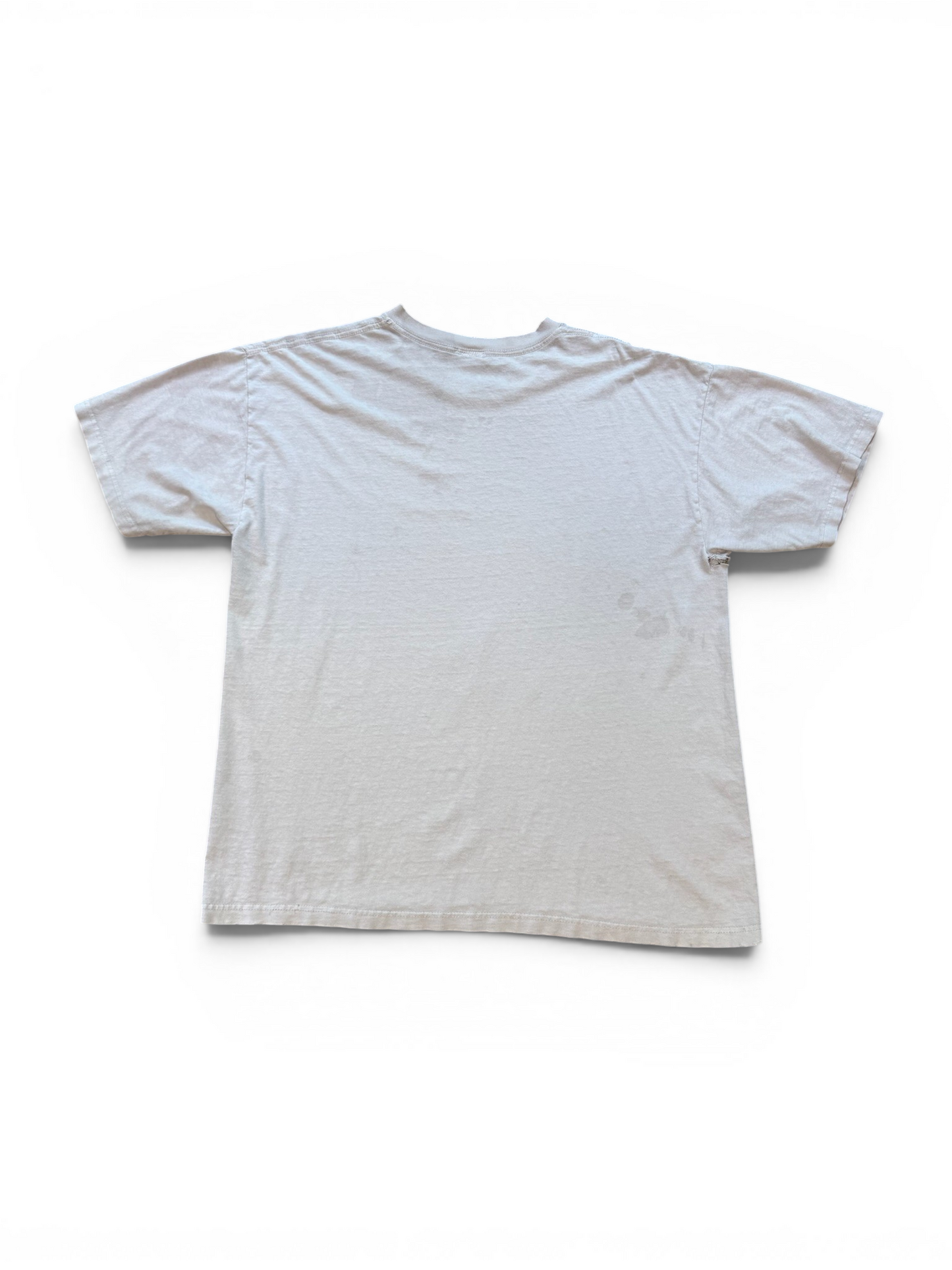 (XL) Vintage Thrashed Taz Photo Tee