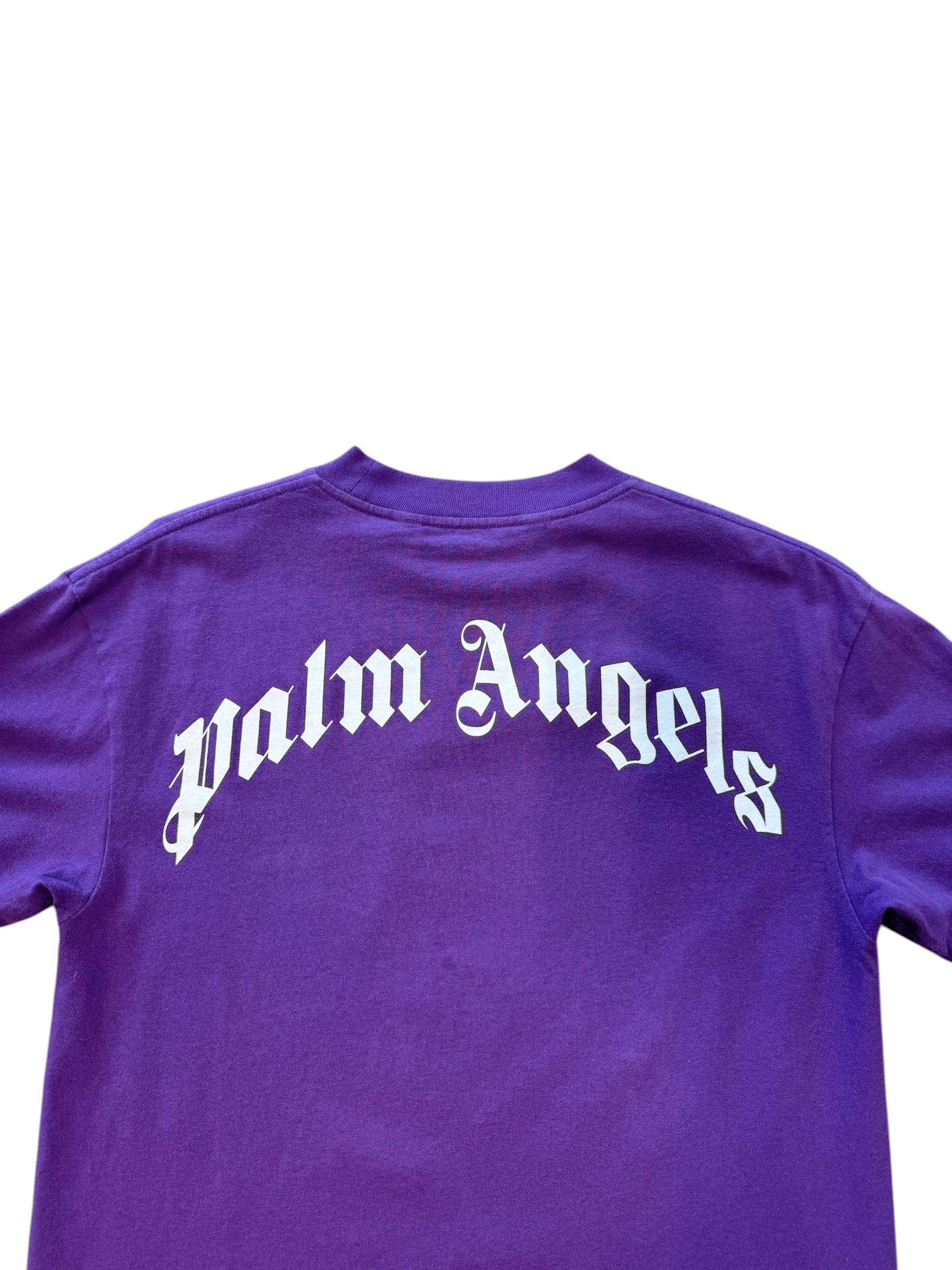 (XS) Palm Angles Teddy Bear Purple Tee