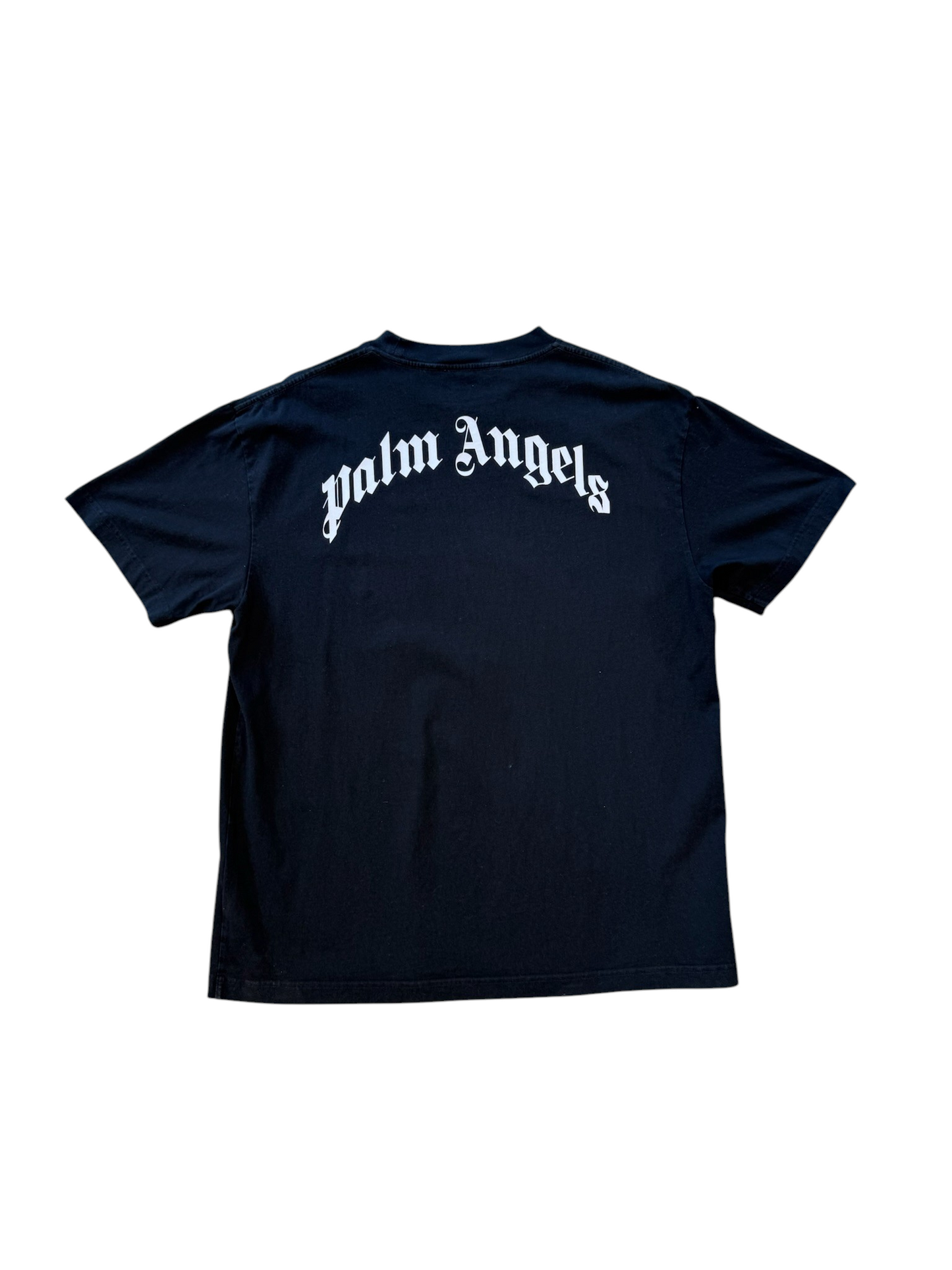 (XXL) Palm Angles Teddy Bear Black Tee