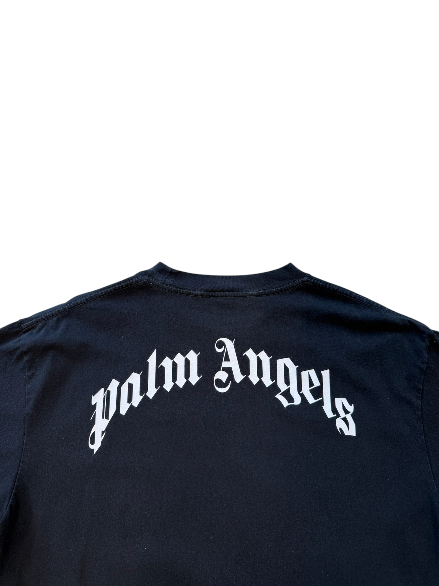 (XXL) Palm Angles Teddy Bear Black Tee