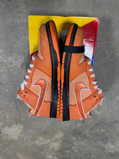 Nike SB Orange Lobster Sz 9