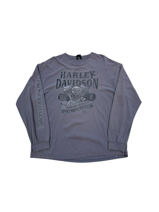 (XL) Vintage Harley Davidson Amarillo Texas Long Sleeve