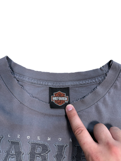 (XL) Vintage Harley Davidson Amarillo Texas Long Sleeve