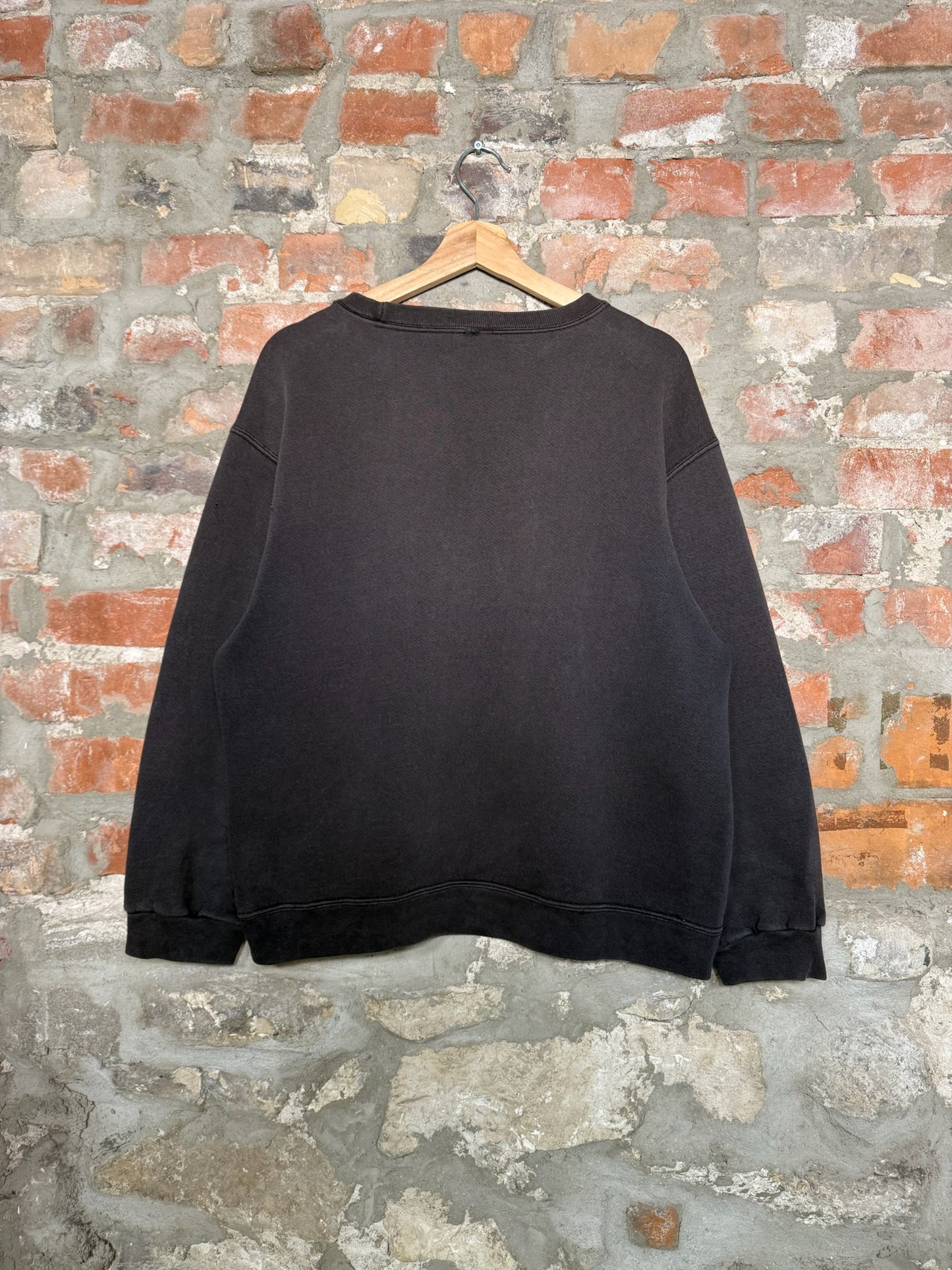 (M) 00s Winter Nature Landscape Crewneck